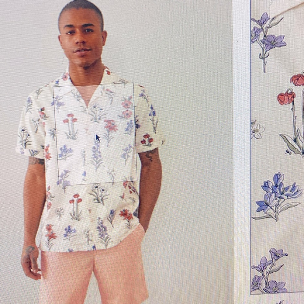 ISO Roots Provincial Garden Shirt or Hoodie